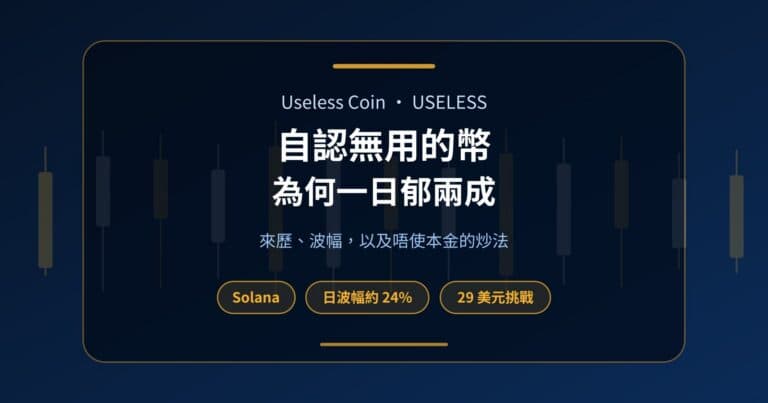 封面卡片介紹 Solana Meme 幣 USELESS,標示約 24% 平均日內波幅、Bonk.fun 出身及 29 美元挑戰