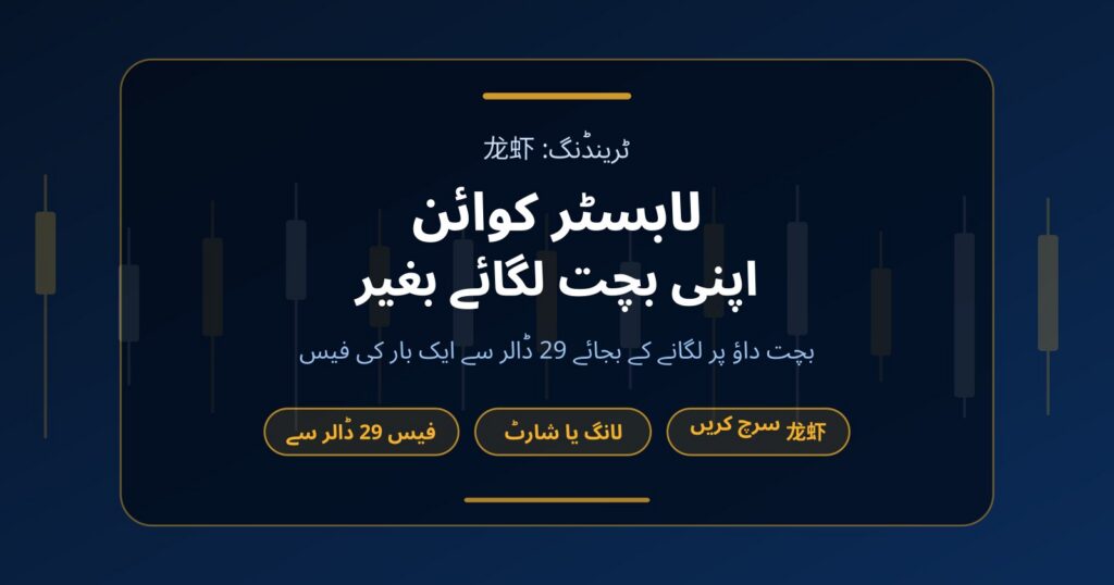لابسٹر کوائن (龙虾): اپنے پیسے لگائے بغیر ٹریڈنگ کا طریقہ