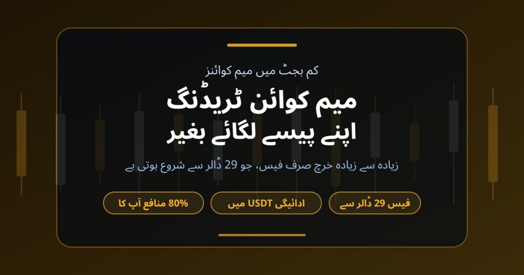 اپنے پیسے لگائے بغیر میم کوائن ٹریڈنگ: اصل خرچ کتنا ہے؟