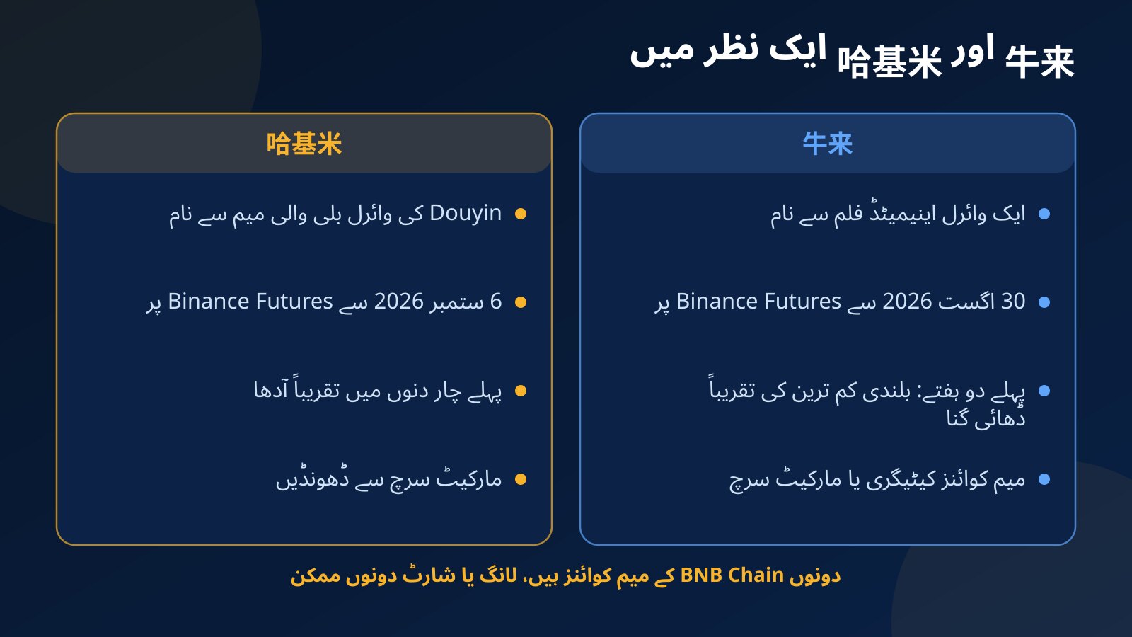 牛来 اور 哈基米 کا آمنے سامنے موازنہ: ہر نام کہاں سے آیا، Binance Futures پر کب آیا، پہلے دنوں میں کیسے چلا اور Fundex24 پر کیسے ملتا ہے