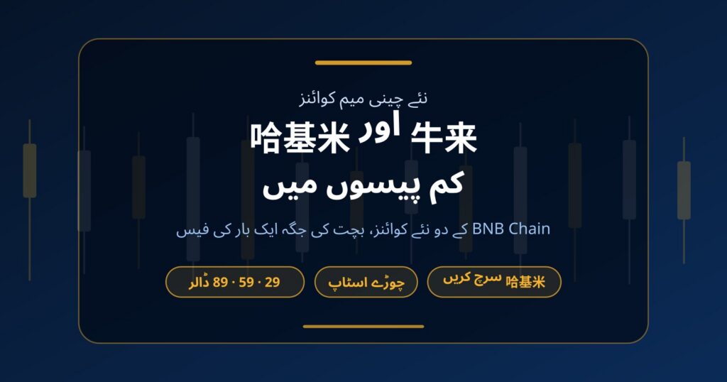 نئے چینی میم کوائنز 牛来 اور 哈基米: کم پیسوں میں ٹریڈنگ