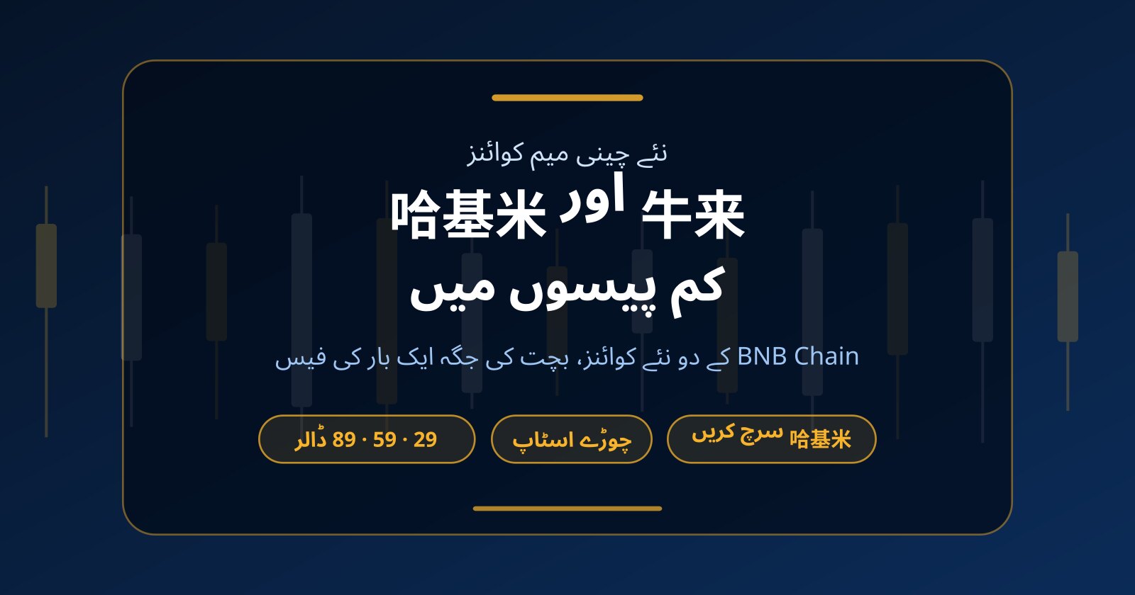 نئے چینی میم کوائنز 牛来 اور 哈基米: کم پیسوں میں ٹریڈنگ
