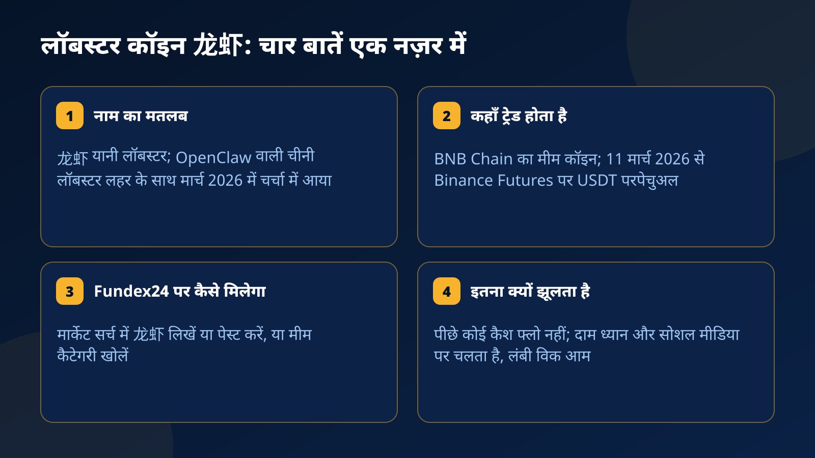 चार कार्ड में लॉबस्टर कॉइन 龙虾 की बुनियादी जानकारी: नाम का मतलब, BNB Chain और Binance Futures पर ट्रेडिंग, Fundex24 पर खोजने का तरीका और तेज़ उतार-चढ़ाव की वजह