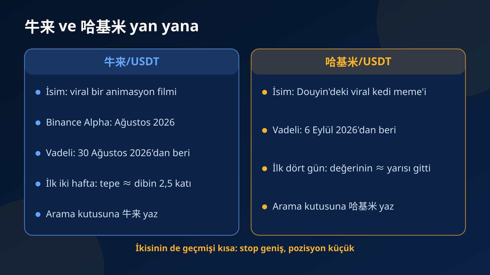 牛来 ve 哈基米 paritelerini isimlerin kökeni, listelenme tarihleri, ilk haftalardaki hareketleri ve Fundex24'te bulunma yolu açısından karşılaştıran iki sütun